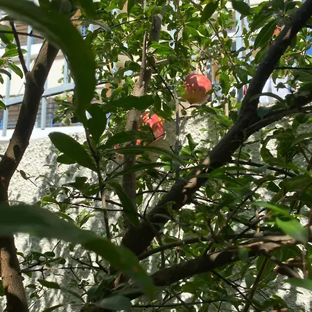 Sunny Cozy Flat Only 3min From The Kalamata