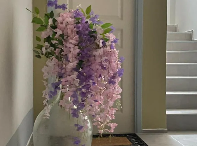 Apartamento Sunny Cozy Flat Only 3min From The *