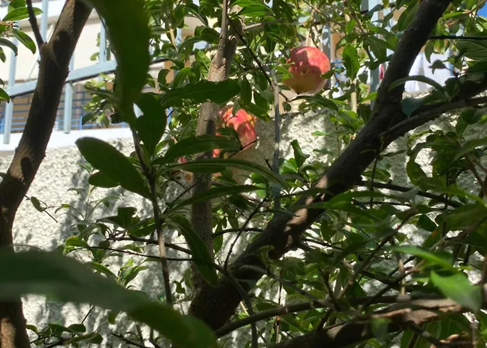 Sunny Cozy Flat Only 3min From The Kalamata