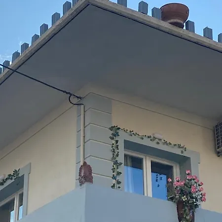 Apartment Sunny Cozy Flat Only 3min From The