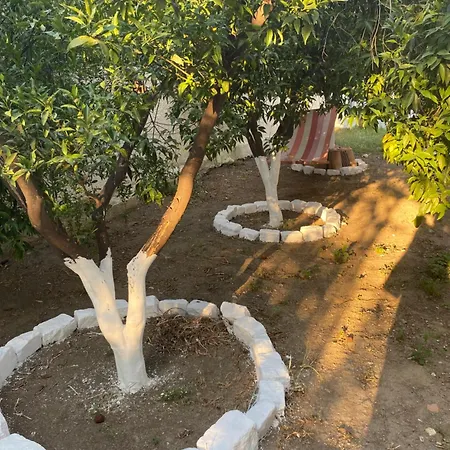 Sunny Cozy Flat Only 3min From The Apartment Kalamata