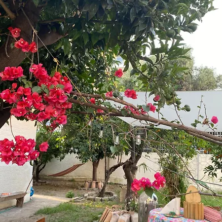 Apartment Sunny Cozy Flat Only 3min From The