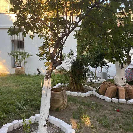 Sunny Cozy Flat Only 3min From The *