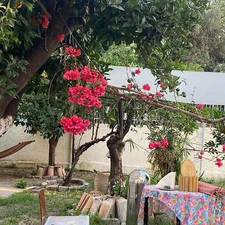 Sunny Cozy Flat Only 3min From The Kalamata