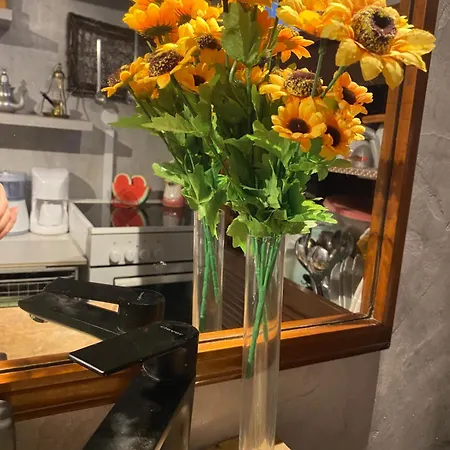 Sunny Cozy Flat Only 3min From The 아파트 *