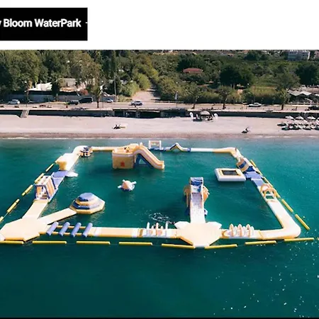 Apartment Sunny Cozy Flat Only 3min From The *