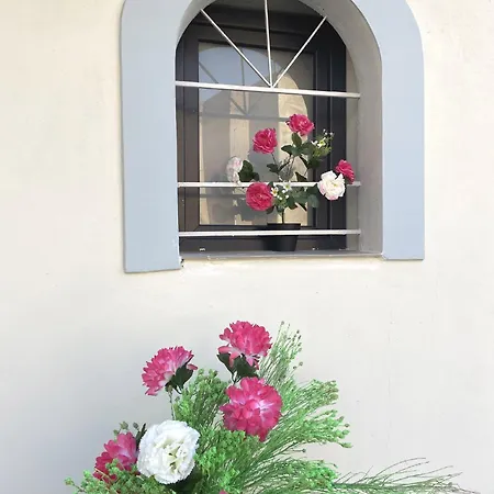 Apartment Sunny Cozy Flat Only 3min From The