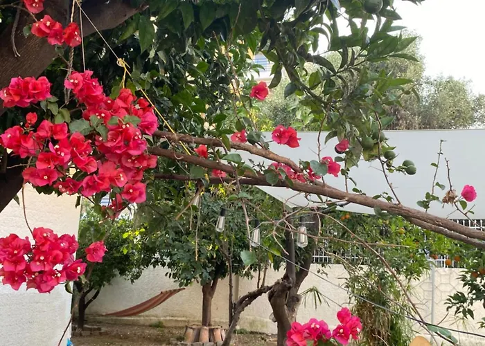 Апартаменты Sunny Cozy Flat Only 3min From The