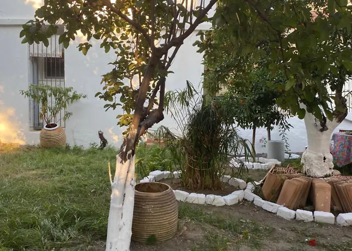 Sunny Cozy Flat Only 3min From The *