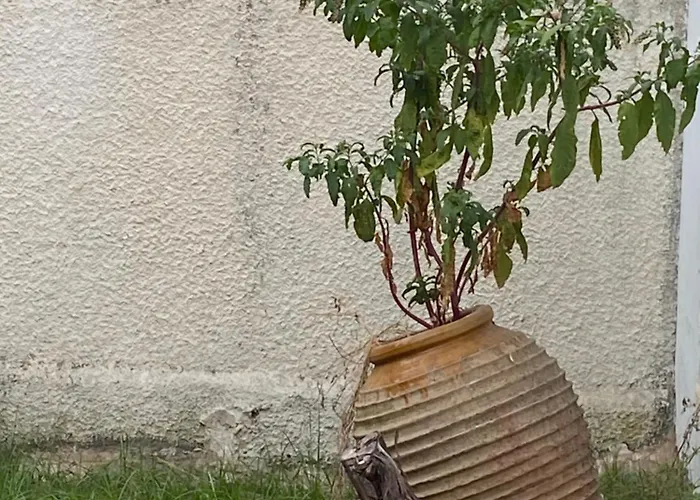 Sunny Cozy Flat Only 3min From The Апартаменты