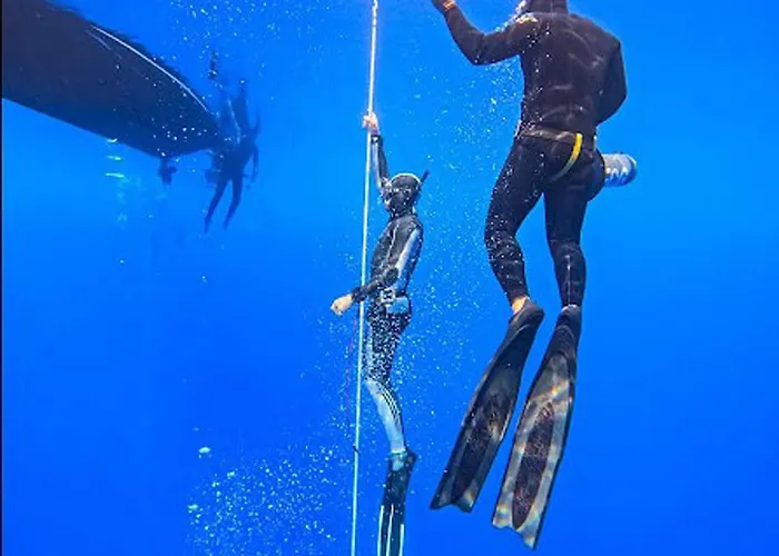 Sunny Cozy Flat Only 3min From The * Каламата